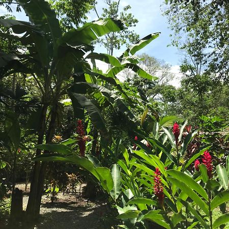 Little Yemanja Bungalow Puerto Viejo de Talamanca Экстерьер фото
