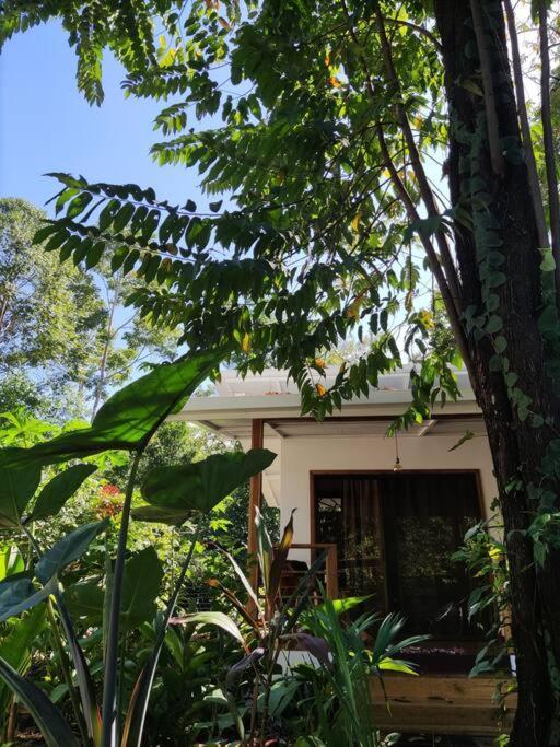 Little Yemanja Bungalow Puerto Viejo de Talamanca Экстерьер фото